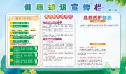 手绘清新幼儿园健康知识宣传栏