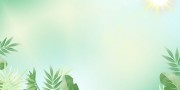 小清新春天春季背景素材