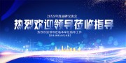 热烈欢迎领导莅临海报图片