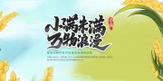小满节气展板