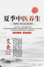 中国风夏季中医养生海报