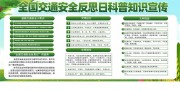 绿色清新全国交通安全反思日展板
