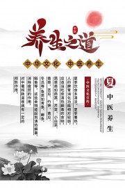 夏季中医养生保健海报