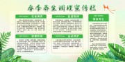绿色春季养生调理宣传栏
