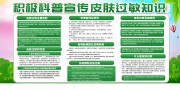 积极科普皮肤过敏知识健康宣传栏图片
