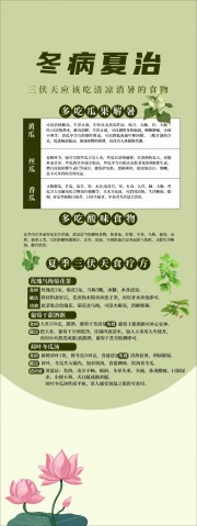 绿色冬病夏治夏季养生展架