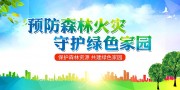 预防森林火灾守护绿色家园展板