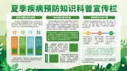 绿色夏季疾病预防知识科普展板