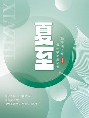 二十四节气夏至广告