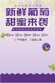 葡萄青提水果宣传海报