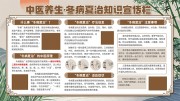 中医养生冬病夏治知识宣传栏