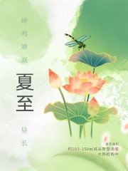 夏至节气海报图片素材