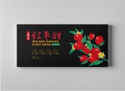 红枣食品插画包装设计