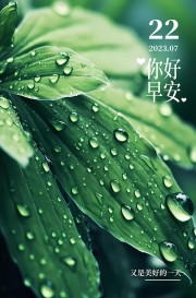 �簲�ʺ򺣱�