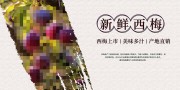夏季水果西梅促销展板