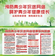 预防青少年沉迷网络健康教育展板