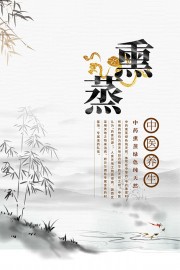中医养生熏蒸海报