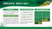 发展生态农业宣传栏
