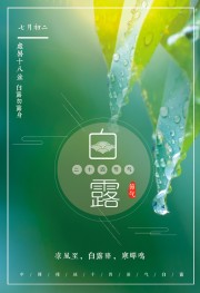 绿色清新白露节气海报