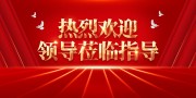 热烈欢迎领导莅临指导海报图片