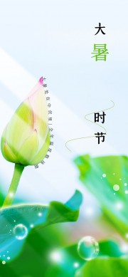 大暑时节海报