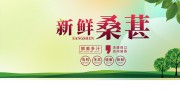 桑葚水果促销展板