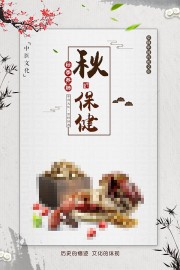中国风秋季保健养生海报