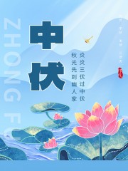 中伏夏季海报