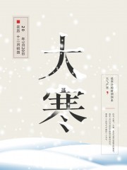 大寒节气海报图片素材