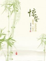 清新风惊蛰节气广告