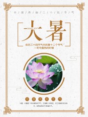 大暑节气海报图片