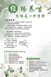 经络养生海报图片