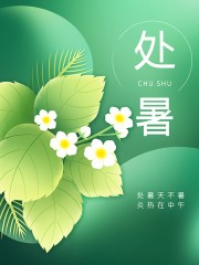 夏季荷花二十四节气处暑宣传海报
