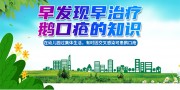 预防鹅口疮知识展板