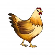 手绘母鸡图片素材