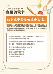食品营养健康科普挂图图片