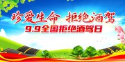 珍爱生命拒绝酒驾展板