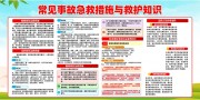 常见事故急救措施与救护知识宣传栏