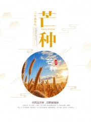 芒种节气广告