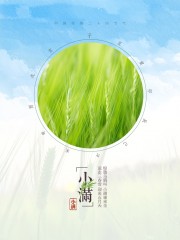 小满节气海报