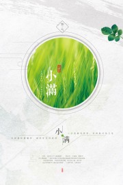小满节气海报图片素材