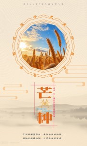 中国传统节气芒种海报