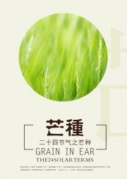 中国传统节气芒种广告