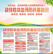缺铁性贫血预防科普知识展板