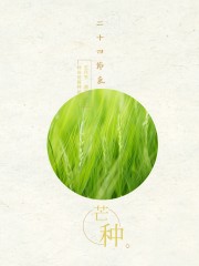24节气芒种海报