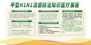 甲流H1N1医疗科普宣传栏图片下载