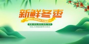 新鲜冬枣促销活动海报图片下载