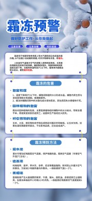 霜冻预警冬季自然灾害预防海报图片