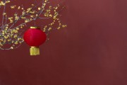 红墙腊梅花图片