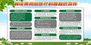 清新黄褐斑科普知识展板下载